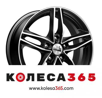306815 iFree Moskva 16 / 6.5J 5 108.00 50.00 63.35
