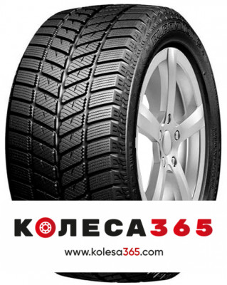 3229000539 Blacklion Winter Tamer BW56 175 70 R14 88 T