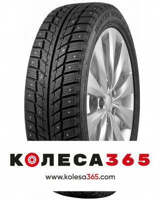 6921109007940 Delinte Winter WD52 195 65 R15 95 T