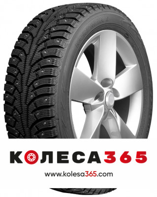 TS71903 Ikon Nordman 5 205 70 R15 100 T