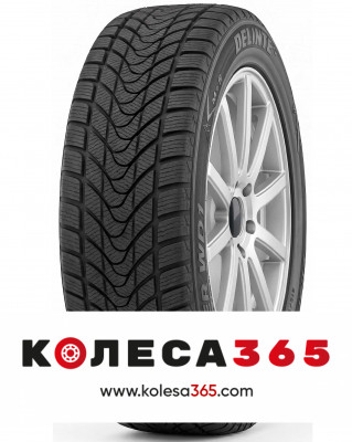 6901532410463 Delinte Winter WD1 205 55 R16 91 H