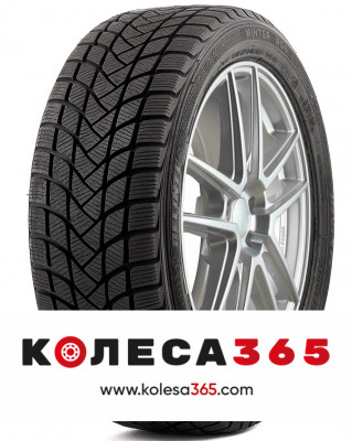 6921109095923 Delinte Winter WD6 245 50 R20 102 H
