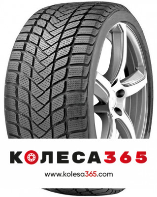 6921109049230 Delinte Winter WD6 185 55 R15 82 H